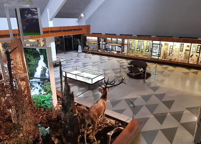 Relax Tatras * Stará Lesná